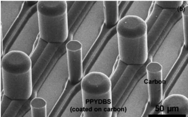 Fig. 8 Carbon and PPYDBS electrodes on individual current collector arrays. Reprinted with permission from ref