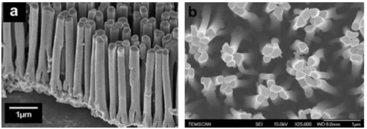 Fig. 13 (a) Oblique-view and (b) top-view SEM images of Al nanorods obtained using optimized pulse-potential conditions.