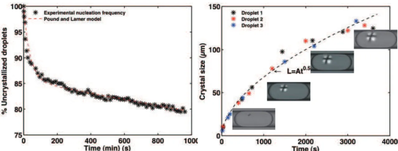 Fig. 17  Nucleation and growth of eflucimibe crystals in octanol droplet s(a) Nucleation rate : ratio of uncrystallized  droplet vs