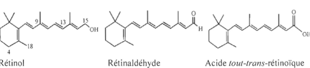 Figure  1.1.  Structure moléculaire de divers  rétinoïdes.  Adapté  de  Napoli,  1999