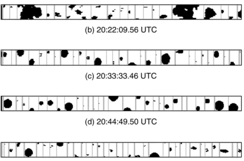 Figure 2 shows an example of the images obtained with the 2D-C probe (Cober et al. 2001) at four different levels