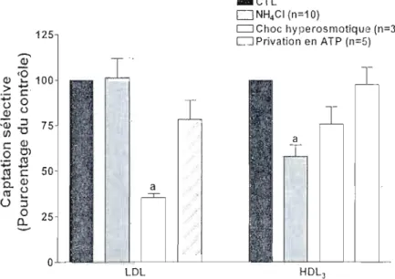 Figure  1:  Effet  des  inhibiteurs  c1assiqucs  de  l'endocytose sur  la  captation sélective  des  EC-LDL  et  -HDL)o  Les  cellules  HepG2  ont  été  pré-incubées 30  min  à  37  oC  avec 25  mM  de  NH 4  CI,  0,45  M de  sucrase  (choc  hyperosmotique