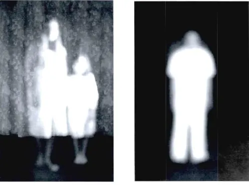 Figure  1.5  De  la  série  Figures,  Élène Tremblay,  1999. 