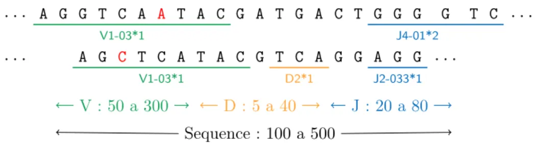 Figure 2.13 : Le texte T =AACAGC$ATCAAC$AGCTTT$, composé de trois séquences, est annoté avec la séquence d’annotations