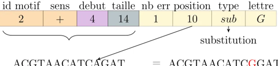 Figure 3.3 : Une boite à erreurs BE(1, +, 4, 14, 1, {(10, ”sub”, G)}) codant la séquence ACGTAACATCGGAT en ajoutant une variation : la substitution de la onzième lettre par la lettre G.