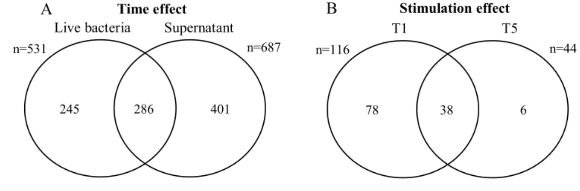Figure 3: Comparison of probe lists with Venn diagrams. In Figure A “Time effect”,  the  lists  of  DEG  in  the  time  course  experiment  after  “Live  bacteria”  stimulation  (n=531  probes)  and  “Supernatant”  stimulation  (n=687  probes)  are  compar