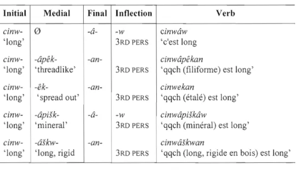 Table 3.1-Innu verb construction with  medials 