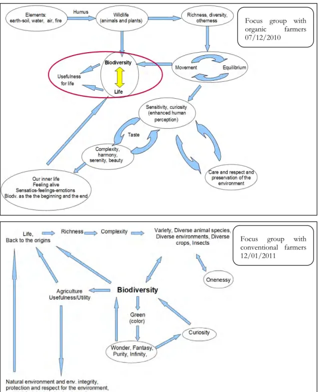 Figure 9: Comparing the Italian concept maps 