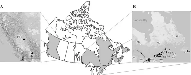 Figure 2.1  Sampling  sites  in  A  the  Canadian  West  Coast  and  B,  Eastern  Canada