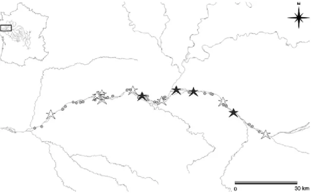 Fig. 1 Study sector. Locations of the 46 waterbodies sampled in the Loire basin river