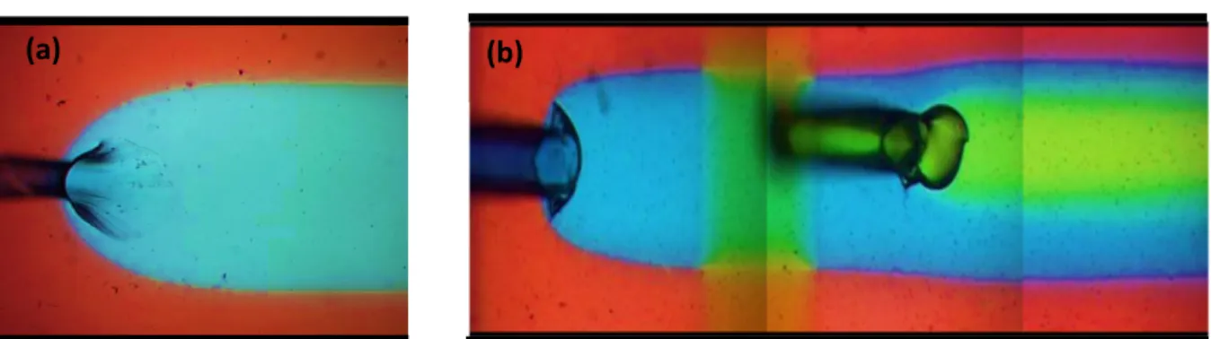 Figure  6 :  Optical micrographs of michrochannel include:  (a) 2 co-flowing food dye-laden  streams (b) 3 co-flowing dyed streams flowing in parallel without mixing