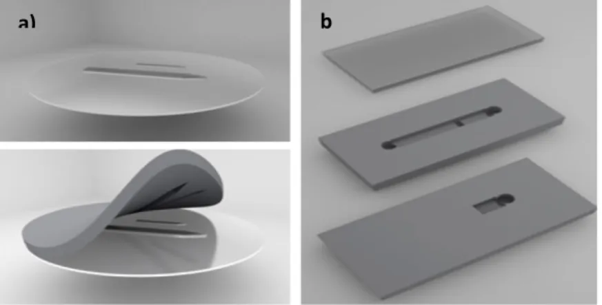 Figure 10 : Schematic for (a) a silicon master filled with PDMS and demoulded after, (b) then cutting to  the desire forms used in this study and creation the holes and junction.
