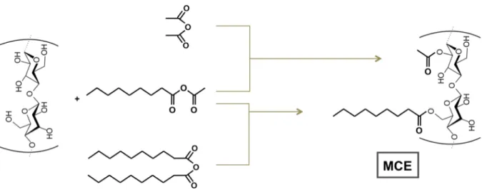 Fig.	
  2	
  Acylation	
  of	
  cellulose	
  treated	
  in	
  a	
  reaction	
  medium	
  obtained	
  from	
  acetic	
  anhydride	
  and	
  a	
  fatty	
  acid
