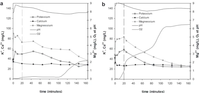 Fig. 3 e Variation of K D , Mg 2D , Ca 2D , pH and O 2 in the reactor bulk during a cycle operation with weak aeration (160 L/h) (3a) and high aeration (350 L/h) (3b) rates.