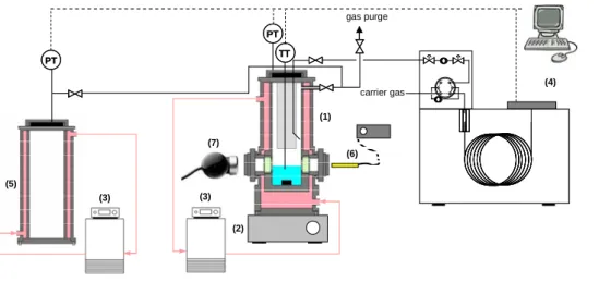 Figure 1. Schematic diagram of the experimental setup 