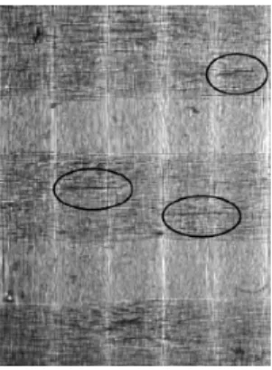 Figure 1.16  Blocage des ssures dans un renfort verre tissé satin (Osada et al. [173])