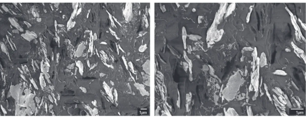Fig. 4. SEM images of cryo-fractured surface area of 0.4 vol% MWCNTs/20 vol% Ag hybrid composite.