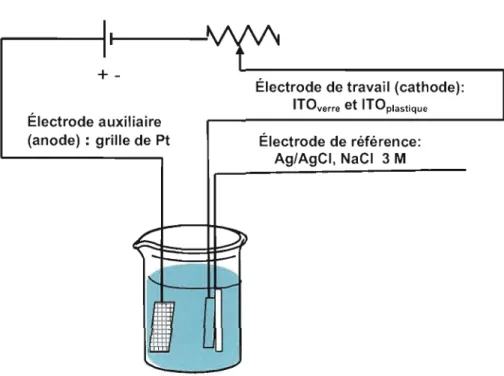 Figure  2.1	  Schéma  de  la  cellule  d'électrodéposition  pour  la  méthode  à  base de thiourée