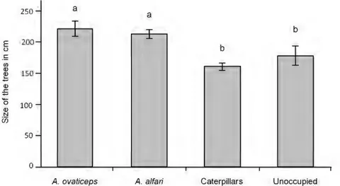 Figure 5. Helght  of  CemJpiatreelets.  Mean height of  trees (±SE) that sheltered colonies  of  one  of  the two  Azteca  species,  Pseudocobima guionolis  caterpillars, or that sheltered  neither  Azteca  nor caterpillars during the experimental period
