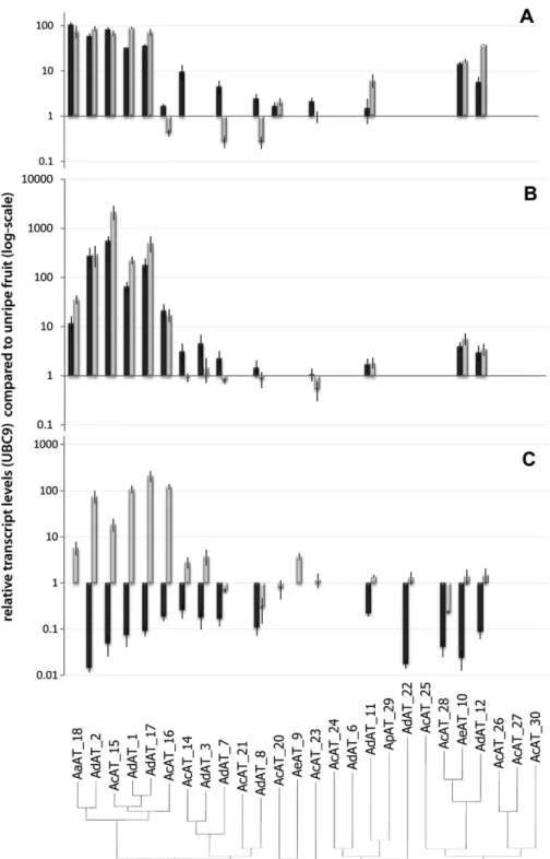 Fig. 2. Fold difference in transcript accumulation of Actinidia-derived contigs with proposed acyltransferase function in ripe compared with unripe fruit