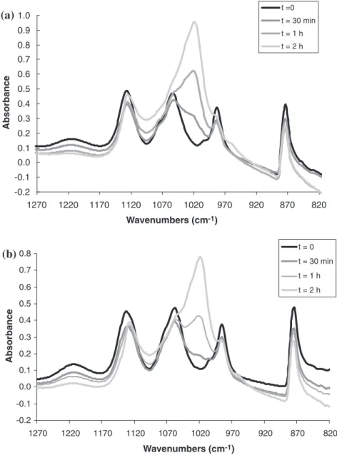 Fig. 11. Real time evolution of the FTIR spectrum of the cement paste at 37 °C for: (a) the cement paste prepared with unground solid phase; (b) the cement paste prepared with co-ground solid phase.