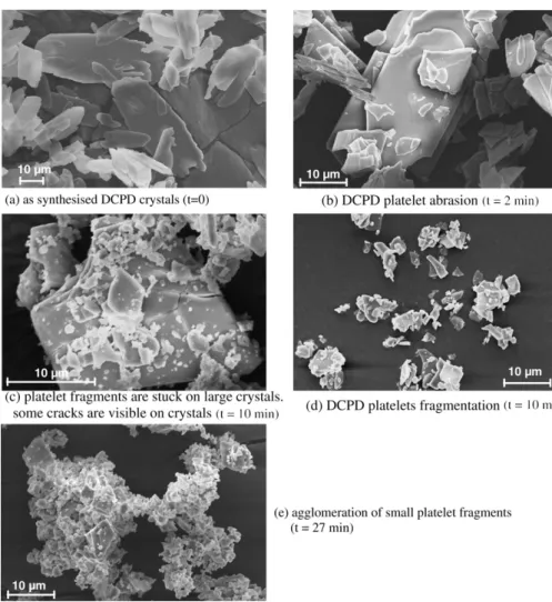 Fig. 1c and e shows that agglomeration phenomena involving interactions between smaller and bigger fragments begin to occur and thus compete with fragmentation, especially between 10 and 27 min grinding