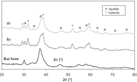 Fig. 10. X-ray diffraction diagram (Co anticathode, k = 1.78897 Å) of the hardened and dried cement (after 4 days at 37 °C) prepared with (a) unground powders (reference cement) and (b) co-ground powders (vaterite and DCPD) compared with that of rat bone.