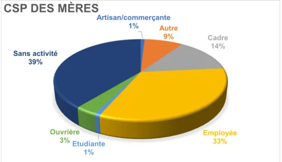Figure 3 : Répartition des professions des mères 