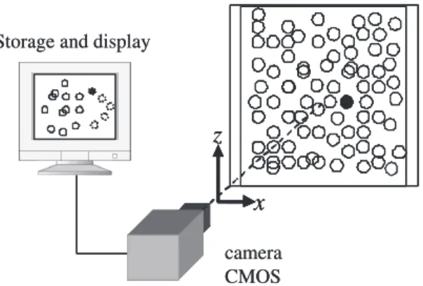 Fig. 1. Scheme of the liquid fluidized bed.