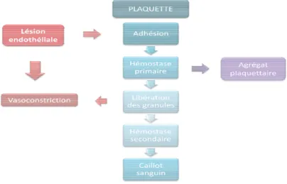 Figure 2 : Sché