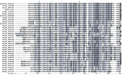 Figure 2.5 Exemple d'un alignement multiple (Miguel Andrade, 2006). 