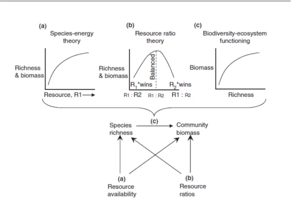 Figure 1.8: Cardinale et al. 2009 Multivariate Productivity-Diversity (MPD) model regrouping three theories, (a) Species-energy theory, (b) Resource ratio theory and (c) Biodiversity-ecosystem functioning