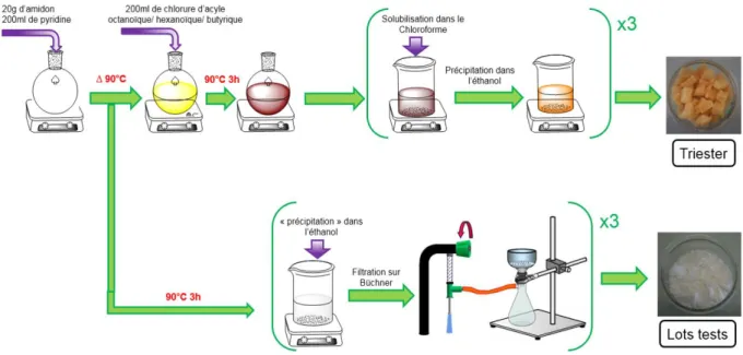 Figure II.2 : Protocoles d’élaboration des triesters d’amidon et des lots tests 