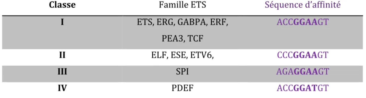 Tableau	 1:	 Séquences	 consensus	 de	 fixation	 spécifique	 pour	 les	 membres	 de	 la	 famille	 ETS.	