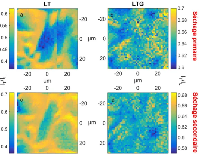 Figure  3.11  :  Panel  d’images  Raman  obtenues  par  calcule  I T /I L   sur  des  cartographies  enregistrées  après  le  séchage  primaire (a,  b)  et secondaire  (c,  d),  qui reflète  la  distribution  relative du tréhalose par rapport au lysozyme d
