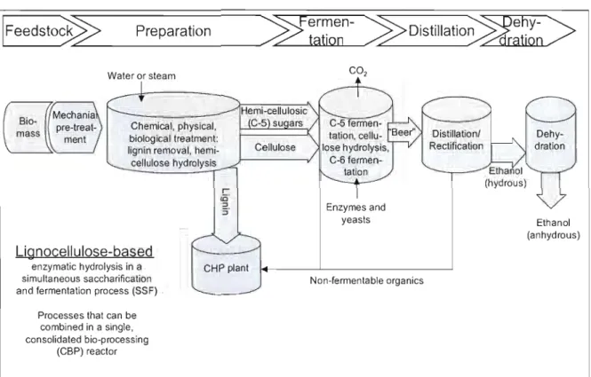 Figure 2.3:  Ethannol production based on ligno-cellulosic feedstock 