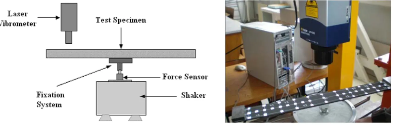 Figure 1 Diagram of the experimental set-up for the vibration tests 