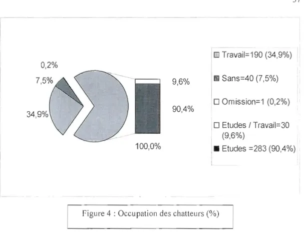 Figure 4  : Occupation des  chatteurs  (%) 