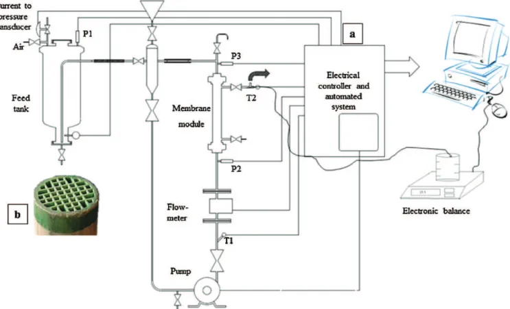 Fig. 3. (a) Scheme of the experimental setup for the critical flux determination and (b) the multi-channel ceramic membrane configuration.