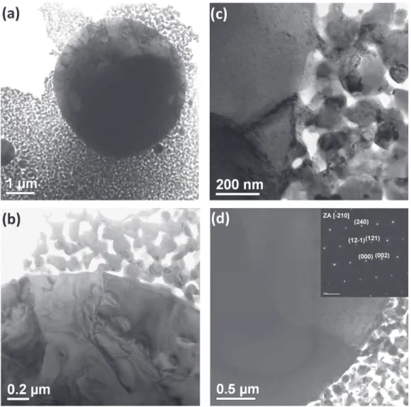 Fig. 8. TEM images showing the (a) nucleation and growth of the spherical cubic Y 2 O 3 grains on account of the multiphase nanocrystalline matrix at 1000 ◦ C
