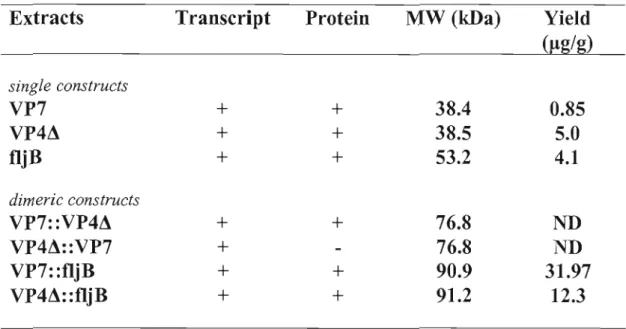 Table  1 : Molecular weight and  yield of recombinant proteins in  plant extracts 