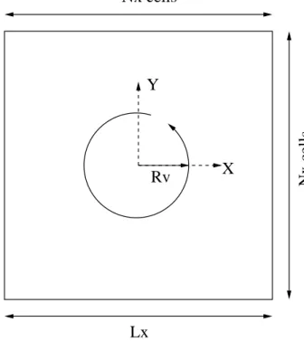 Figure 4.1: Schematic representation of the two-dimensional particle-laden vortex.