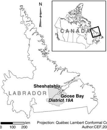 Fig. 1. The study area constitutes the forest management District 19A in Central Labrador, Canada.