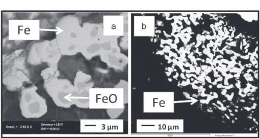 Fig. 5. Micrographs cross section of Fe 3 O 4 sample after electrolysis. Experimental conditions: LiF–NaF–Li 2 O (1 mass.%), T = 750 ◦ C; (a) I = −0.04 A, t = 20,000 s; (b) I = −0.1 A, t = 10,000 s.