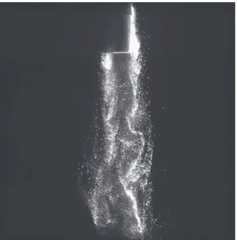 Fig. 5. PIV system. Fig. 6. Picture of an experiment with tube.