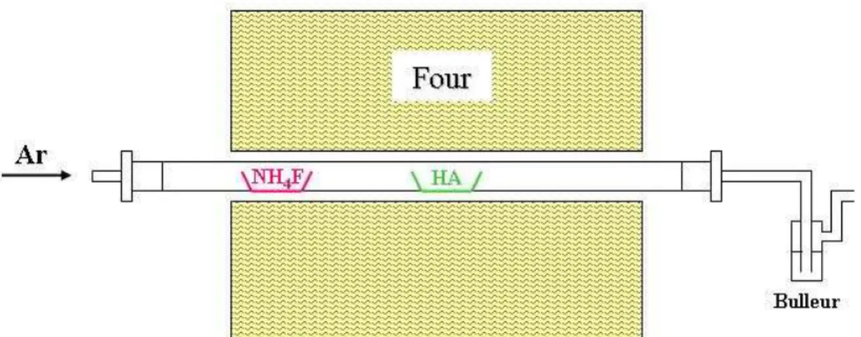 Figure 2.7 : Schéma du montage utilisé pour l’étude de la réaction de fluoruration gazeuse de  l’hydroxyapatite 