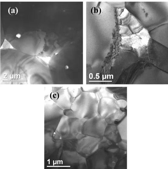 Fig. 8. TEM images showing the main microstructure features of the specimens sintered at 1500 ◦ C by SPS