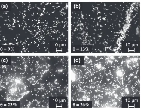 Fig. 3. Current density evolution on 254SMO stainless steel electrode polarised at ÿ0.6 V vs Ag/AgCl