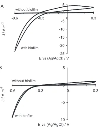 Fig. 5. Mott–Schottky diagrams on 316L and 254SMO immersed in the reactor medium before (A) and after (B) 56 h of polarisation at −0.6 V vs