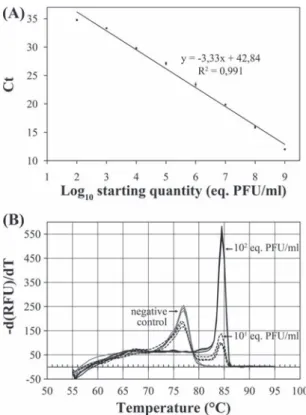 FIG. 2. Standard (A) and melting (B) curves of bacteriophage MS2 obtained using quantitative RT-PCR